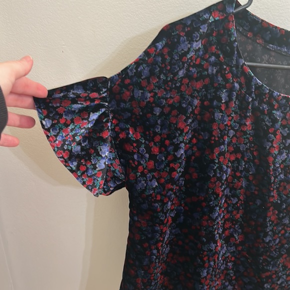 Gap Velvet Ruffle Sleeve Blouse - Picture 2 of 6